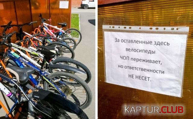 196018_5_trinixy_ru.jpg | Рено Каптур Клуб Россия | Форум KAPTUR.SU