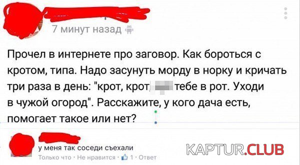 196268_9_trinixy_ru.jpg | Рено Каптур Клуб Россия | Форум KAPTUR.SU