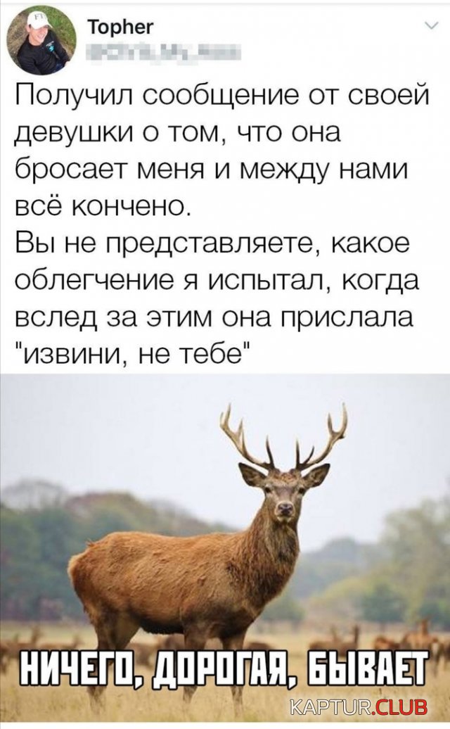 196427_9_trinixy_ru.jpg | Рено Каптур Клуб Россия | Форум KAPTUR.SU