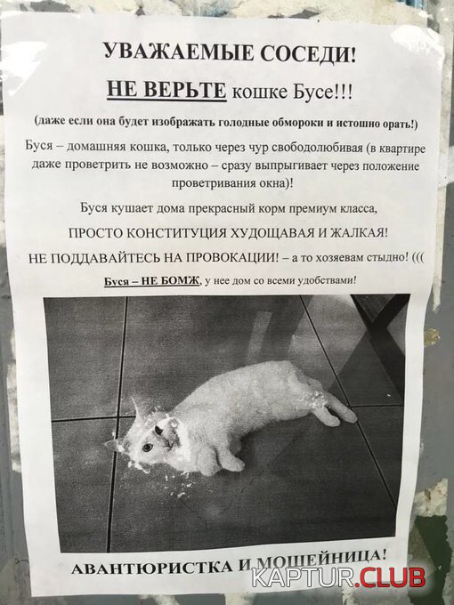196671_11_trinixy_ru.jpg | Рено Каптур Клуб Россия | Форум KAPTUR.SU