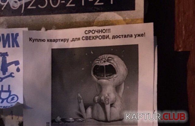 196671_3_trinixy_ru.jpg | Рено Каптур Клуб Россия | Форум KAPTUR.SU