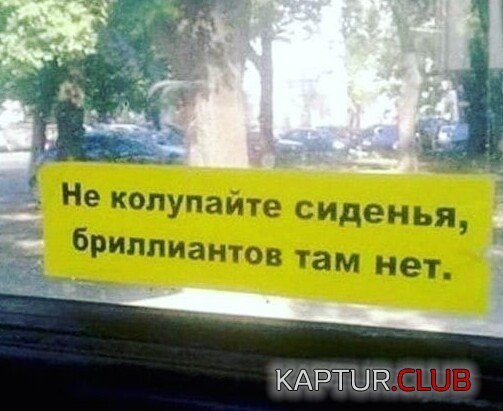 196671_4_trinixy_ru.jpg | Рено Каптур Клуб Россия | Форум KAPTUR.SU