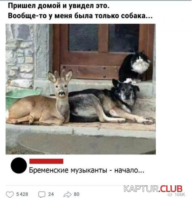 196963_1_trinixy_ru.jpg | Рено Каптур Клуб Россия | Форум KAPTUR.SU