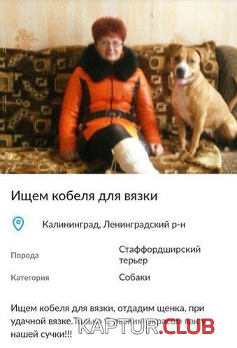 196cc2f49f29b0f93d623b31c70.jpg | Рено Каптур Клуб Россия | Форум KAPTUR.SU