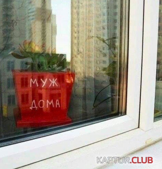 197174_8_trinixy_ru.jpeg | Рено Каптур Клуб Россия | Форум KAPTUR.SU