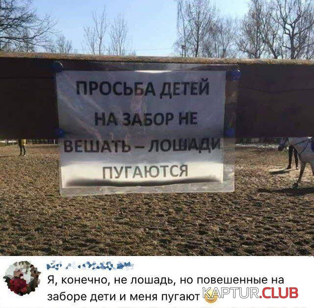 197256_12_trinixy_ru.jpg | Рено Каптур Клуб Россия | Форум KAPTUR.SU