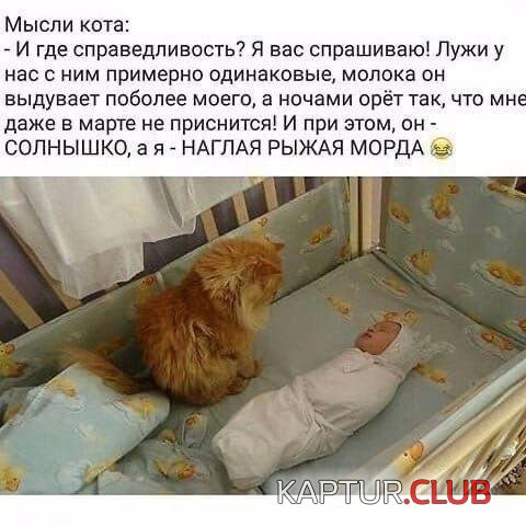 197256_4_trinixy_ru.jpg | Рено Каптур Клуб Россия | Форум KAPTUR.SU