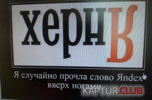 197314014.p.500.500.0.jpg | Рено Каптур Клуб Россия | Форум KAPTUR.SU