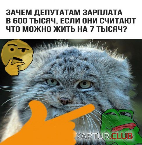 197322624.p.500.500.0.jpg | Рено Каптур Клуб Россия | Форум KAPTUR.SU