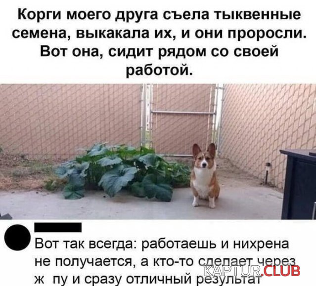 197392_7_trinixy_ru.jpg | Рено Каптур Клуб Россия | Форум KAPTUR.SU