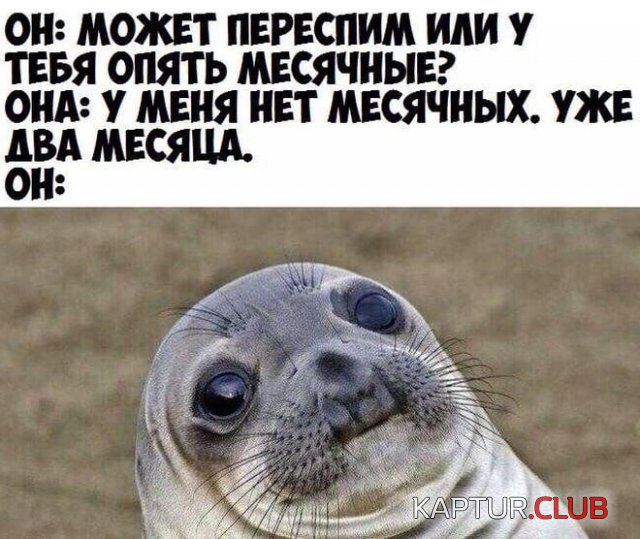 197902_1_trinixy_ru.jpg | Рено Каптур Клуб Россия | Форум KAPTUR.SU