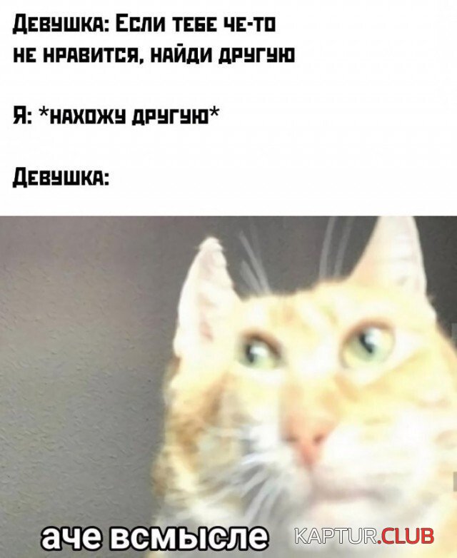 198871_12_trinixy_ru.jpg | Рено Каптур Клуб Россия | Форум KAPTUR.SU