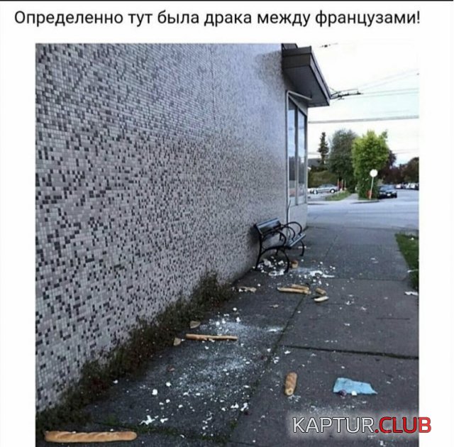 198981_14_trinixy_ru.jpg | Рено Каптур Клуб Россия | Форум KAPTUR.SU