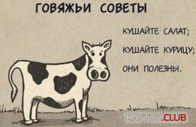199342_7_trinixy_ru.jpg | Рено Каптур Клуб Россия | Форум KAPTUR.SU