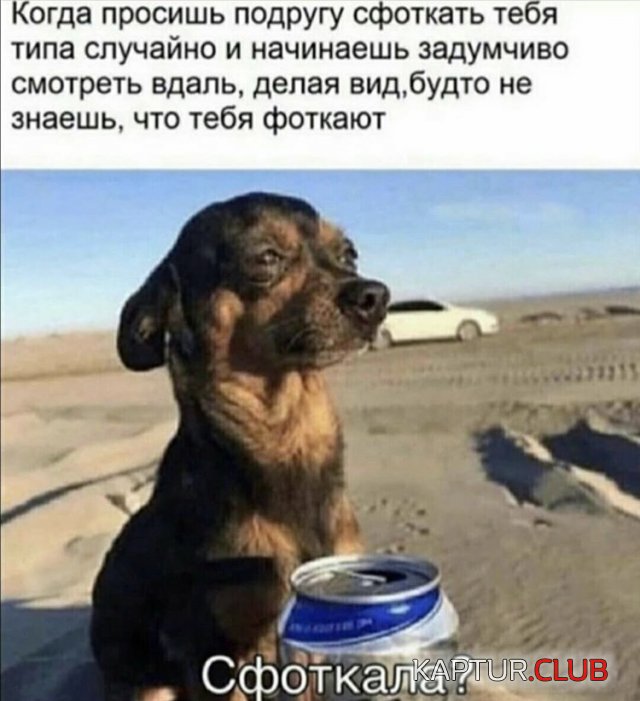 199435_15_trinixy_ru.jpg | Рено Каптур Клуб Россия | Форум KAPTUR.SU