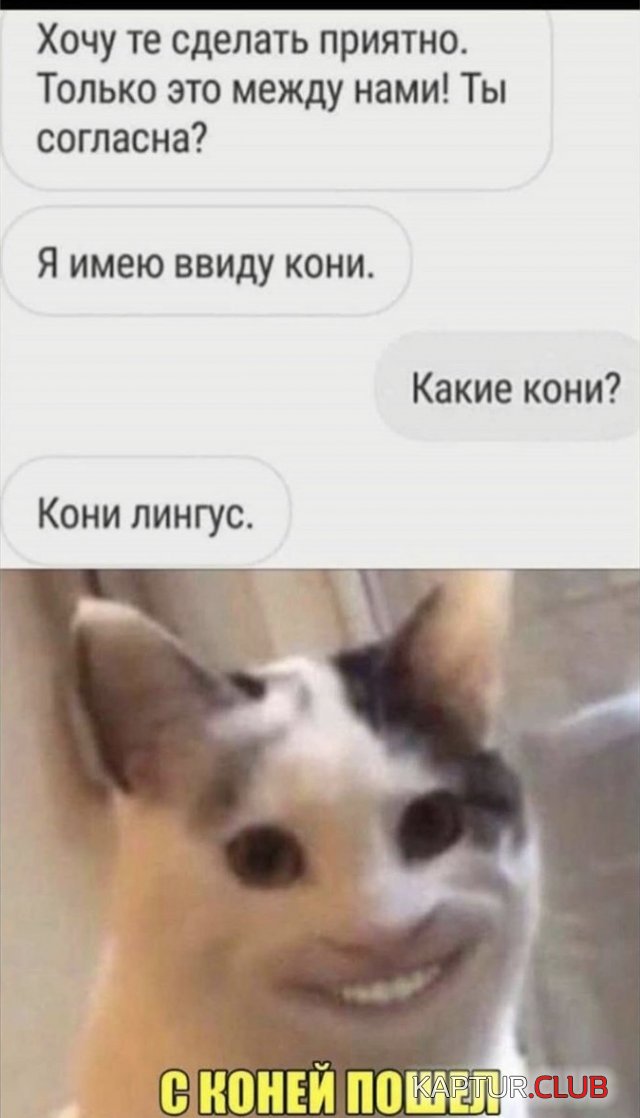 199502_14_trinixy_ru.jpg | Рено Каптур Клуб Россия | Форум KAPTUR.SU