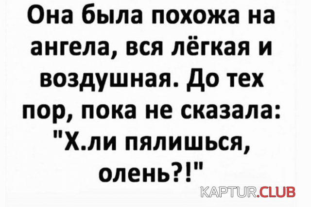 199710_22_trinixy_ru.jpg | Рено Каптур Клуб Россия | Форум KAPTUR.SU