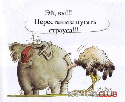 19982358d352929c430a324a498.jpg | Рено Каптур Клуб Россия | Форум KAPTUR.SU