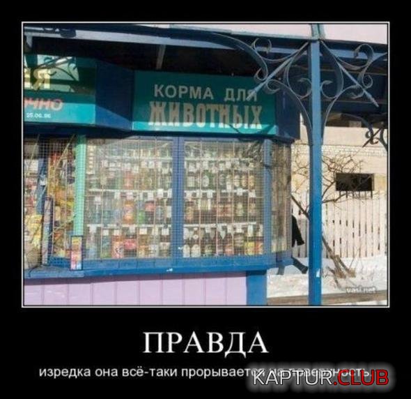 19d42364cb5fa571b1bd15fb4be_prev.jpg | Рено Каптур Клуб Россия | Форум KAPTUR.SU