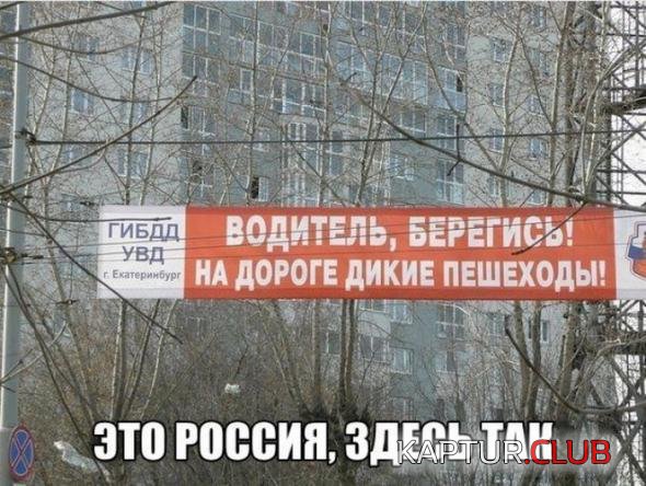 1aaf9458bb3fe2c34713b5e737f_prev.jpg | Рено Каптур Клуб Россия | Форум KAPTUR.SU