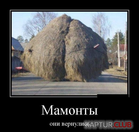 1ac4e6e070b2d77e626d10cba92_prev.jpg | Рено Каптур Клуб Россия | Форум KAPTUR.SU