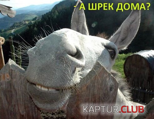 1be1f68776eb6910b4333cdc115.jpg | Рено Каптур Клуб Россия | Форум KAPTUR.SU