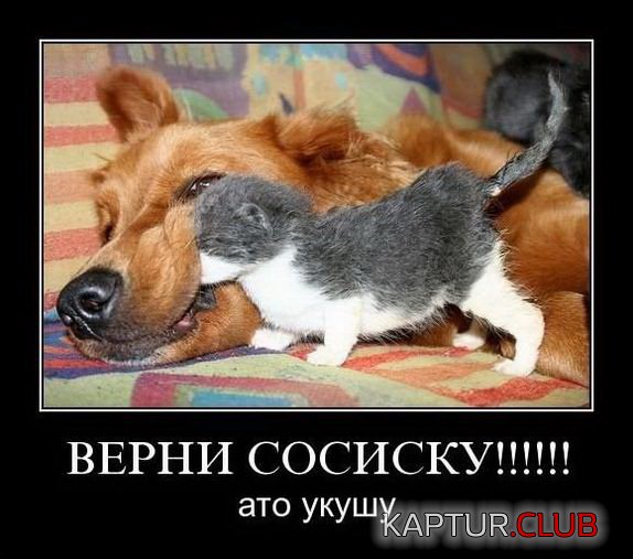 1c60e5642c44f0dd3f31004fcc1.jpg | Рено Каптур Клуб Россия | Форум KAPTUR.SU