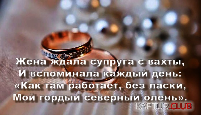 1cce386d9541287c217a9f5b154.jpg | Рено Каптур Клуб Россия | Форум KAPTUR.SU
