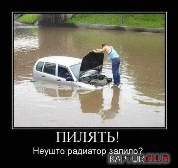1cf84f607f59947dc6e742c9790_prev.jpg | Рено Каптур Клуб Россия | Форум KAPTUR.SU
