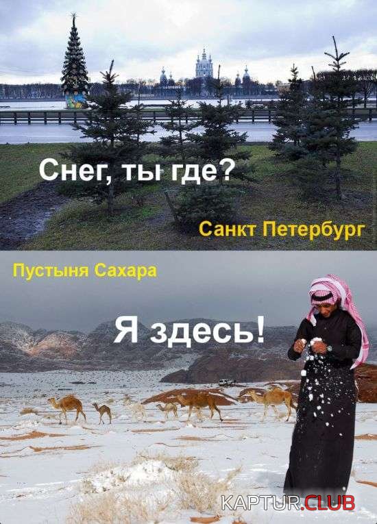 1d2a93c67cb569ff9caae303b0d.jpg | Рено Каптур Клуб Россия | Форум KAPTUR.SU