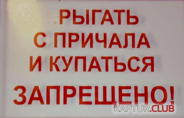 1d3fd56f9be8e9667e9d239720ca2452_full.jpg | Рено Каптур Клуб Россия | Форум KAPTUR.SU