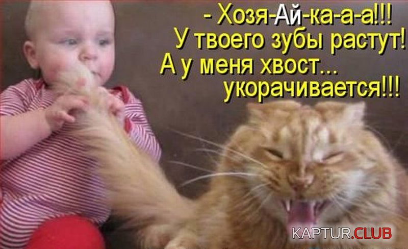 1d6fe3e99b5e11fd257c947b589.jpg | Рено Каптур Клуб Россия | Форум KAPTUR.SU