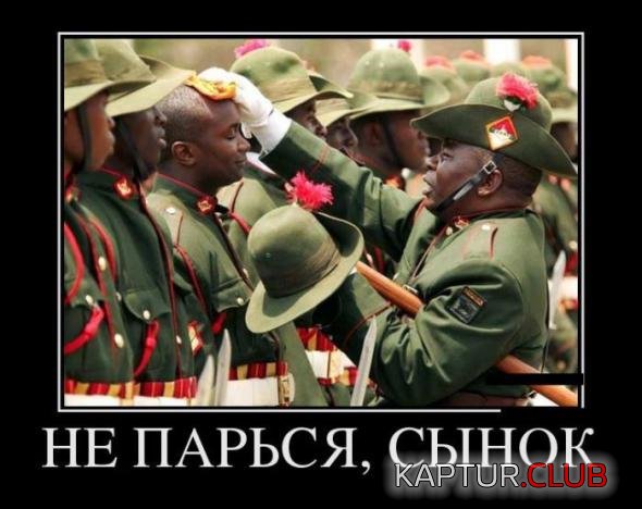 1db84f78f13ccd10e6a0290cfff_prev.jpg | Рено Каптур Клуб Россия | Форум KAPTUR.SU