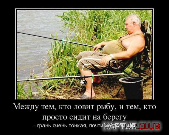 1de231006411dbe8d36ea3cc3b3_prev.jpg | Рено Каптур Клуб Россия | Форум KAPTUR.SU