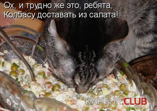 1e098a02ca0288e01ee8337852e.jpg | Рено Каптур Клуб Россия | Форум KAPTUR.SU