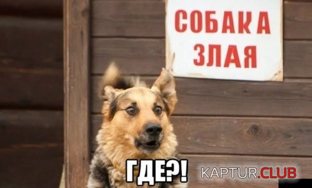 1e3cf822a99ab2f060ccb5fddc3.jpg | Рено Каптур Клуб Россия | Форум KAPTUR.SU