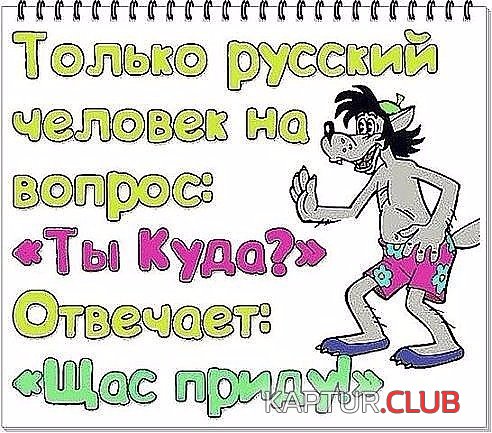 1e6ba172e8cae1699cbb3900775.jpg | Рено Каптур Клуб Россия | Форум KAPTUR.SU