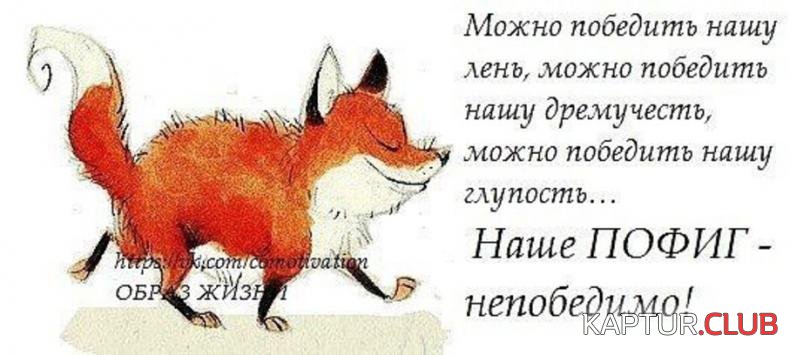 1e8eb9b282e16c4797b49c0bc5e_prev.jpg | Рено Каптур Клуб Россия | Форум KAPTUR.SU
