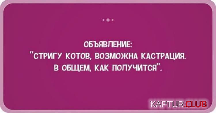 1f06f85b10d6cdbe59b6cb5a26c.jpg | Рено Каптур Клуб Россия | Форум KAPTUR.SU