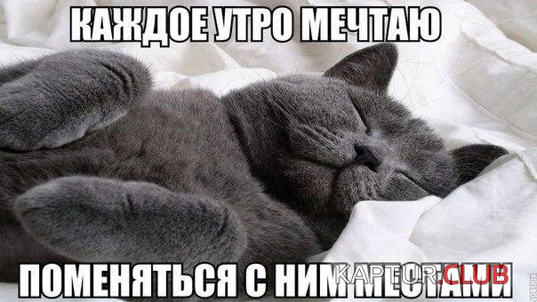 1xX0qsFn4IY.jpg | Рено Каптур Клуб Россия | Форум KAPTUR.SU