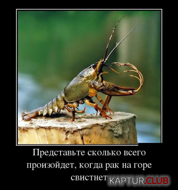 2.png | Рено Каптур Клуб Россия | Форум KAPTUR.SU