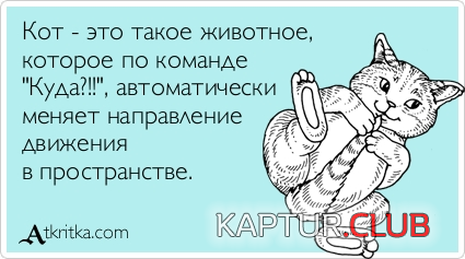 2.png | Рено Каптур Клуб Россия | Форум KAPTUR.SU