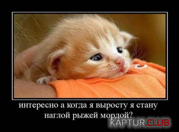 2.png | Рено Каптур Клуб Россия | Форум KAPTUR.SU