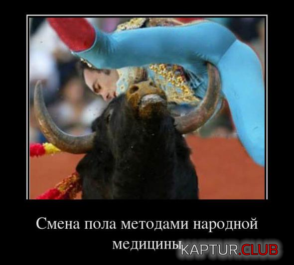 2.png | Рено Каптур Клуб Россия | Форум KAPTUR.SU