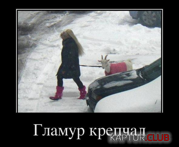 2.png | Рено Каптур Клуб Россия | Форум KAPTUR.SU