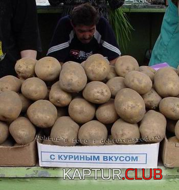 2.png | Рено Каптур Клуб Россия | Форум KAPTUR.SU