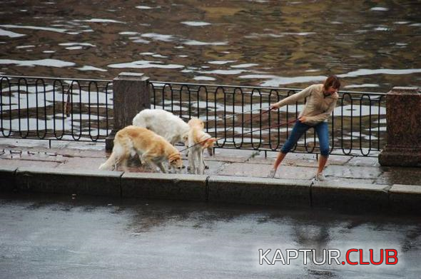 2.png | Рено Каптур Клуб Россия | Форум KAPTUR.SU