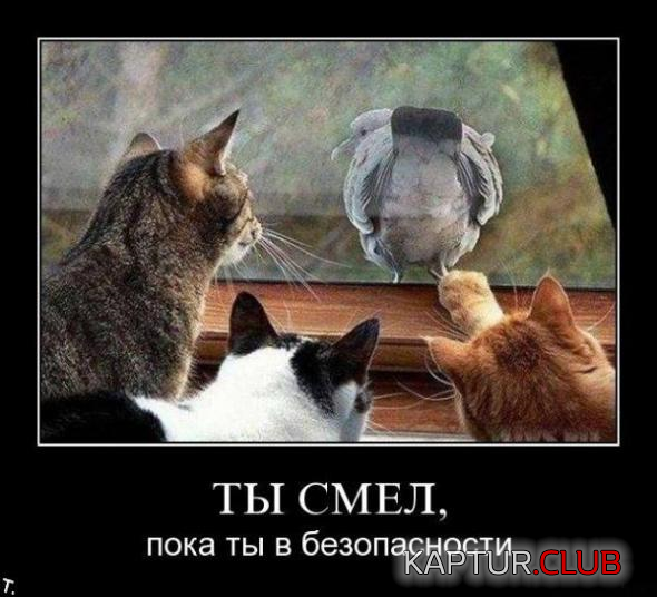 2.png | Рено Каптур Клуб Россия | Форум KAPTUR.SU