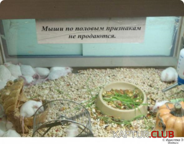2.png | Рено Каптур Клуб Россия | Форум KAPTUR.SU