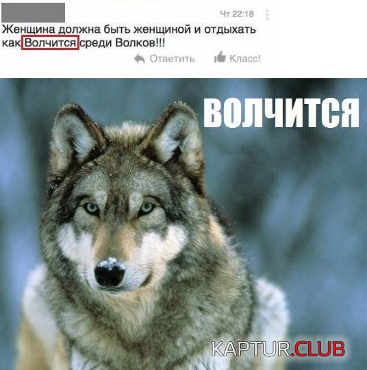 2.png | Рено Каптур Клуб Россия | Форум KAPTUR.SU